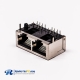 2 Port RJ45 Female Connector 90° with Shield and Without LED for PCB Mount