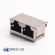 RJ45 Dual Port 1*2 Vertical Shielded Shell Through Hole PCB Mount