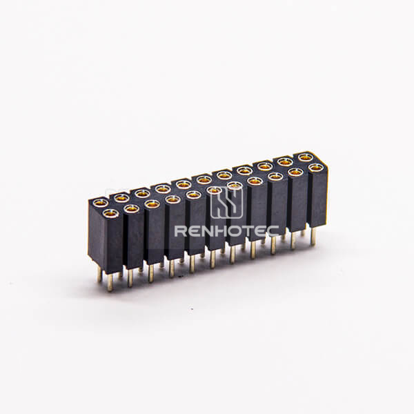 Female Header Circular Holes Dual Row 22 Way 2.54mm Pitch DIP
